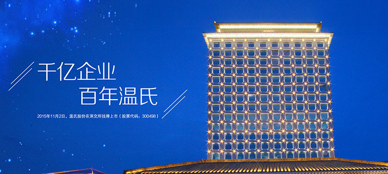 3118云顶集团股份