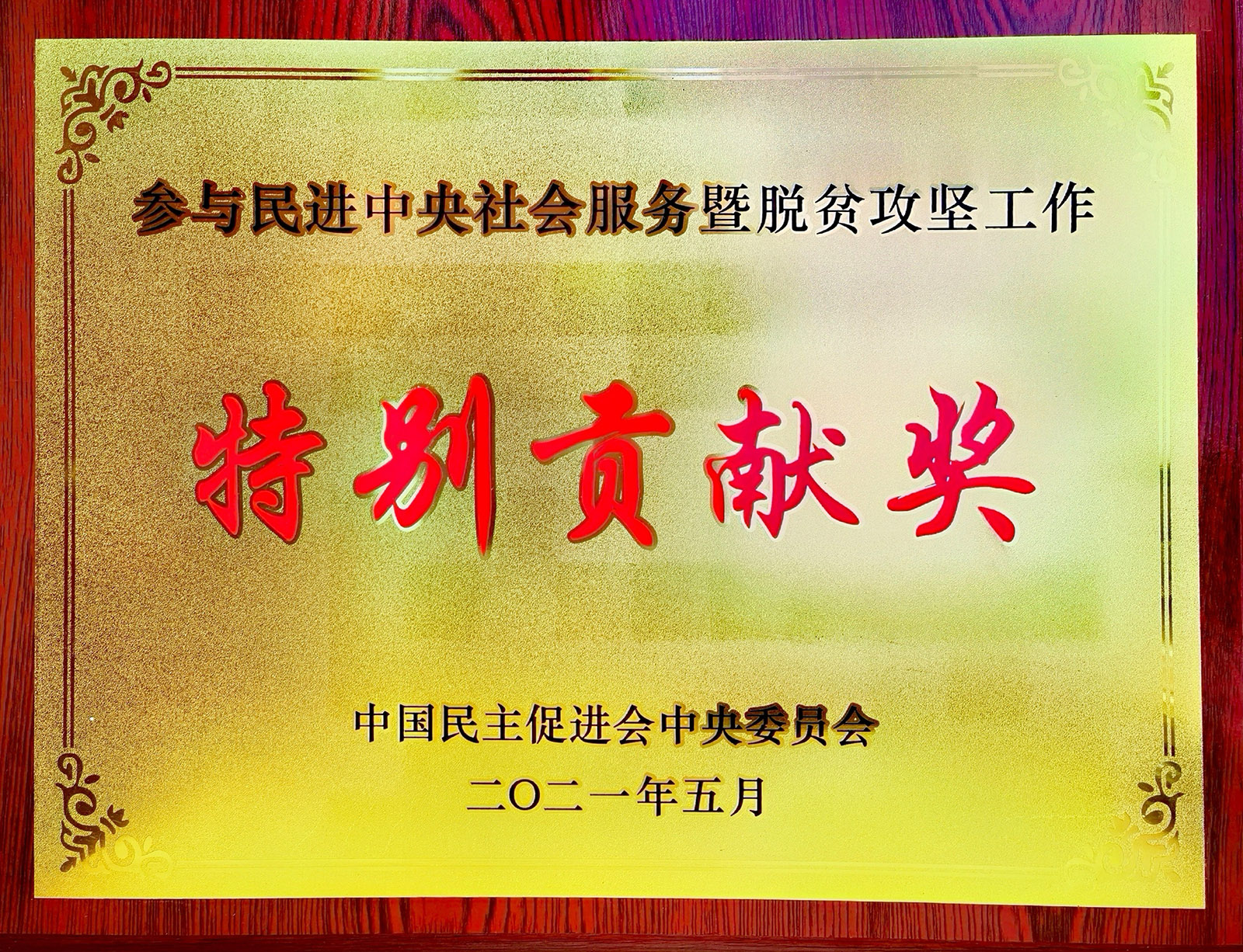 3118云顶集团股份荣获参与民进中央社会服务暨脱贫攻坚工作特别贡献奖.jpg